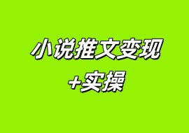 小说推文变现+实操-花花网赚