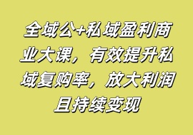 全域公+私域盈利商业大课，有效提升私域复购率，放大利润且持续变现-花花网赚