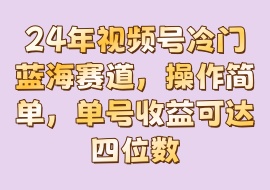 24年视频号冷门蓝海赛道，操作简单，单号收益可达四位数-花花网赚
