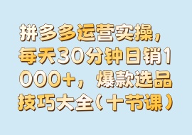 拼多多运营实操，每天30分钟日销1000＋，爆款选品技巧大全（十节课）-花花网赚