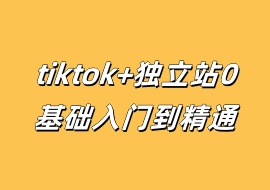 tiktok+独立站0基础入门到精通-花花网赚