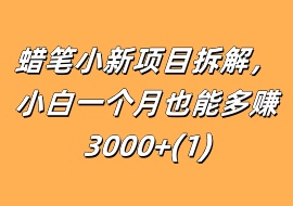 蜡笔小新项目拆解，小白一个月也能多赚3000+(1)-花花网赚