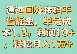 通过国外接码平台掘金，单号成本1.3，利润10＋，轻松月入1万＋-花花网赚