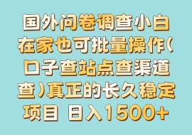 国外问卷调查小白在家也可批量操作（口子查站点查渠道查）真正的长久稳定项目 日入1500+-花花网赚