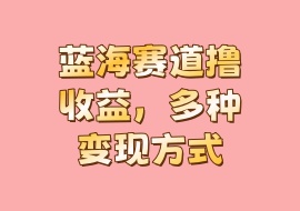 蓝海赛道撸收益，多种变现方式-花花网赚