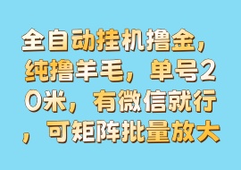 全自动挂机撸金，纯撸羊毛，单号20米，有微信就行，可矩阵批量放大-花花网赚