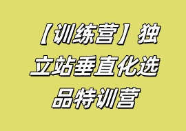 【训练营】独立站垂直化选品特训营-花花网赚