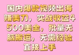 国内爆款视频出海赚美刀，实战收益4500美金，批量无脑搬运，无需经验直接上手-花花网赚