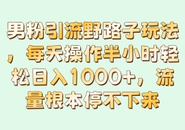 男粉引流野路子玩法，每天操作半小时轻松日入1000＋，流量根本停不下来-花花网赚
