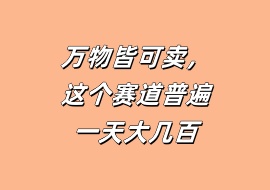 万物皆可卖，这个赛道普遍一天大几百-花花网赚