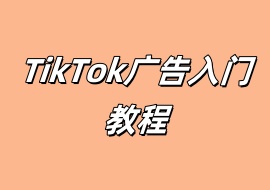 TikTok广告入门教程-花花网赚