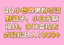 QQ小世界男粉引流野路子，小白无脑操作，多种变现方式轻松日入1000＋-花花网赚