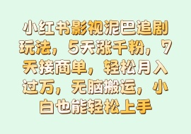 小红书影视泥巴追剧玩法，5天涨千粉，7天接商单，轻松月入过万，无脑搬运，小白也能轻松上手-花花网赚