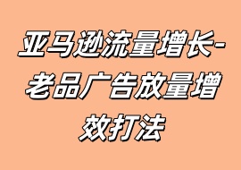 亚马逊流量增长-老品广告放量增效打法-花花网赚