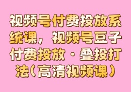 视频号付费投放系统课，视频号豆子付费投放·叠投打法（高清视频课）-花花网赚