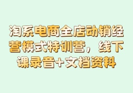 淘系电商全店动销经营模式特训营，线下课录音+文档资料-花花网赚