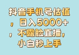 抖音手机号估值，日入5000+，不露脸直播，小白秒上手-花花网赚