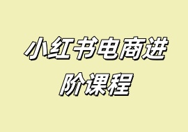 小红书电商进阶课程-花花网赚