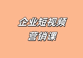 企业短视频营销课-花花网赚