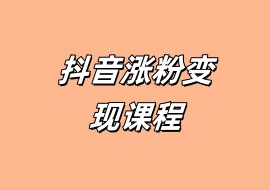 抖音涨粉变现课程-花花网赚