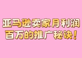 亚马逊卖家月利润百万的推广秘诀！-花花网赚