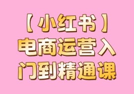 【小红书】电商运营入门到精通课-花花网赚