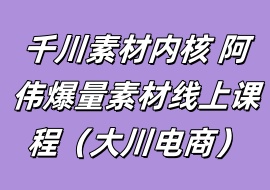千川素材内核 阿伟爆量素材线上课程（大川电商）-花花网赚