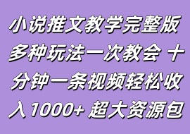 小说推文教学完整版 多种玩法一次教会 十分钟一条视频轻松收入1000+ 超大资源包-花花网赚