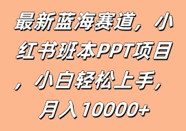 最新蓝海赛道，小红书班本PPT项目，小白轻松上手，月入10000+-花花网赚