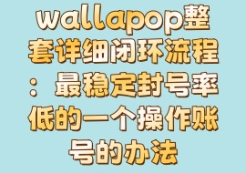 wallapop整套详细闭环流程：最稳定封号率低的一个操作账号的办法-花花网赚