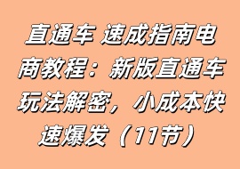 直通车 速成指南电商教程：新版直通车玩法解密，小成本快速爆发（11节）-花花网赚
