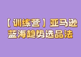 【训练营】亚马逊蓝海趋势选品法-花花网赚