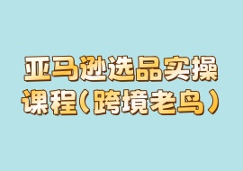 亚马逊选品实操课程（跨境老鸟）-花花网赚
