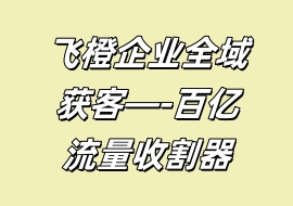 飞橙企业全域获客—-百亿流量收割器-花花网赚