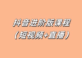 抖音进阶版课程（短视频+直播）-花花网赚