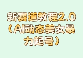 新赛道教程2.0（AI动态美女暴力起号）-花花网赚