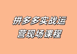 拼多多实战运营现场课程-花花网赚
