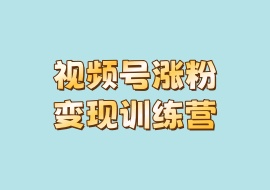 视频号涨粉变现训练营-花花网赚