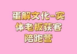 蛋解文化-实体老板获客陪跑营-花花网赚