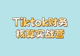Tiktok财务核算实战营-花花网赚