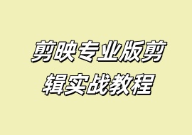 剪映专业版剪辑实战教程-花花网赚