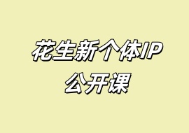 花生新个体IP公开课-花花网赚