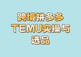 跨境拼多多TEMU实操与选品-花花网赚