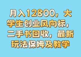 月入12800，大学生创业风向标，二手书回收，最新玩法保姆及教学-花花网赚