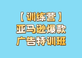 【训练营】亚马逊爆款广告特训班-花花网赚