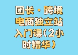 团长·跨境电商独立站入门课（2小时精华）-花花网赚