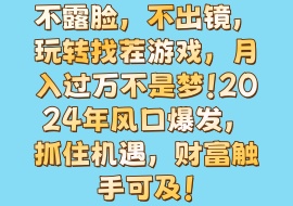 不露脸，不出镜，玩转找茬游戏，月入过万不是梦！2024年风口爆发，抓住机遇，财富触手可及！-花花网赚