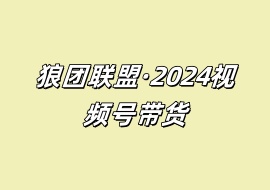 狼团联盟·2024视频号带货-花花网赚