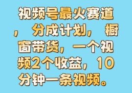 视频号最火赛道， 分成计划， 橱窗带货，一个视频2个收益，10分钟一条视频。-花花网赚