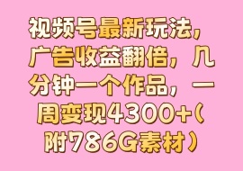 视频号最新玩法，广告收益翻倍，几分钟一个作品，一周变现4300+（附786G素材）-花花网赚